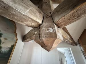Fabulous Neo-Classical town mansion in the heart of Saumur
