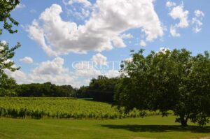 Très beau domaine viticole en Agriculture Biologique AOC Montravel, Haut-Montravel et Côtes de Bergerac