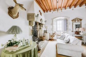 Charming Priory in quiet village in the rural Deux-Sevres, one hour from Saumur and Poitiers
