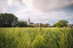 Charming Priory in quiet village in the rural Deux-Sevres, one hour from Saumur and Poitiers