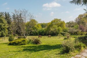 Quinsac – Maison d'exception avec dépendance, piscine et parc d'1,25 hectare – 20 min de Bordeaux