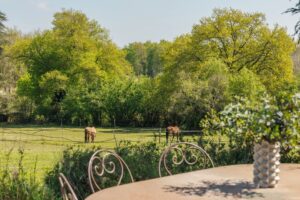 Quinsac – Maison d'exception avec dépendance, piscine et parc d'1,25 hectare – 20 min de Bordeaux