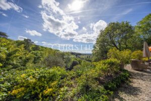 Le Château Éblouissant et Noble Avec des Tours Majestueuses