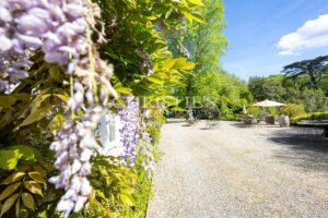 Le Château Éblouissant et Noble Avec des Tours Majestueuses