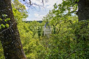 Le Château Éblouissant et Noble Avec des Tours Majestueuses