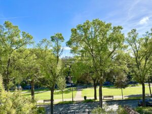 Superbe Villa Balnéaire - Quartier du Mail