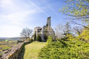Un château exquis datant du Moyen Âge, niché sur une colline et offrant des vues panoramiques à couper le souffle