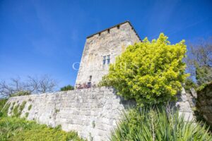 Un château exquis datant du Moyen Âge, niché sur une colline et offrant des vues panoramiques à couper le souffle