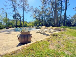 Villa rénovée piscine jardin paysager