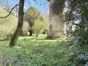 Character property with pool, outbuildings and enclosed land