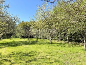 A Character Estate with Courtyard and Parkland – Space, Authenticity and Enduring Quality in the Limousin