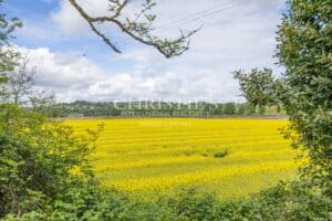 Maison pittoresque au bord des canaux avec accès direct à l'eau
