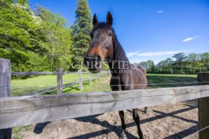 A Breathtaking Chateau Estate, elegantly situated atop the region's Highest Hill