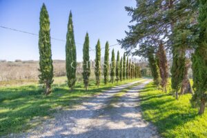 La ferme Woodland Valley View avec piscine et 11 hectares de terres de pâturage