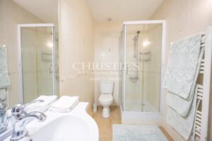 The Exquisite Plum Tree Farmhouse: Featuring a Pool and 3 acres Land