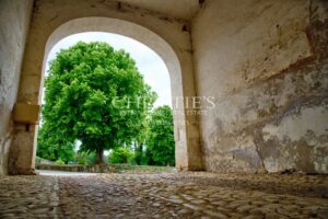 An exceptional estate in the Dordogne: an 18th-century manor house, a horse-riding estate and a lifestyle immersed in nature