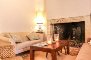 Petit Chateau featuring a Tower and Guest House with Easy-to-Maintain Gardens