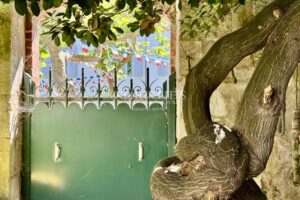 ENSEMBLE IMMOBILIER SUR LE PORT DE LA FLOTTE-EN-RE