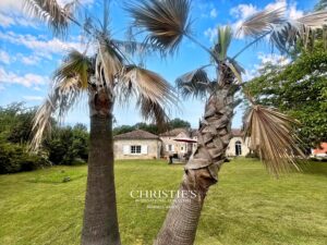 Haut-Agenais – A characterful property with spacious rooms and plenty of potential