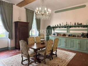 Charming spacious Maison de Maitre