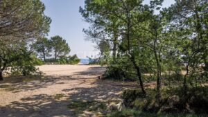 1ÈRE LIGNE À ARES : RARE ET VUE AU TRAVERS DES PINS