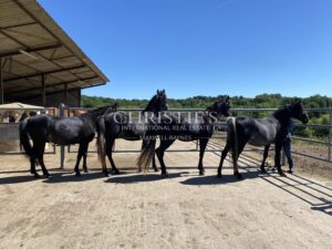 A rare 40-hectare lifestyle estate in the Dordogne, where refined living, hospitality and an equestrian way of life come together seamlessly.
