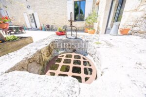 Historic Winemaker's Château Estate with Guest Cottages and 64 Hectares of Varied Grounds.
