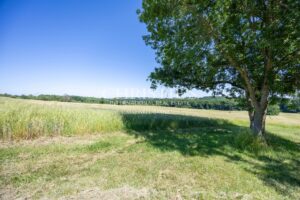 Château historique de vigneron avec cottages pour invités et 64 hectares de terrains variés