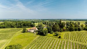 Magnificent 18th-century Girondine residence set within 5 hectares of grounds, featuring a swimming pool.