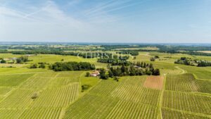 Magnificent 18th-century Girondine residence set within 5 hectares of grounds, featuring a swimming pool.
