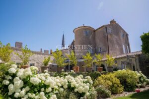 Renovated emblematic villa