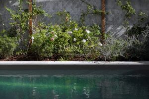 Parc Bordelais - Beautiful stone house - 5 suites - gardens - swimming pool and double garage