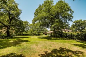 Heart of the Landes - Sore - Authentic Airial - A charming house, pool, and dependences