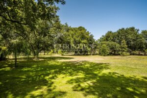 Heart of the Landes - Sore - Authentic Airial - A charming house, pool, and dependences