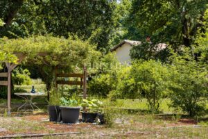Heart of the Landes - Sore - Authentic Airial - A charming house, pool, and dependences