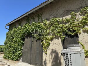 Saint Emilion Grand Cru vineyard Estate for sale