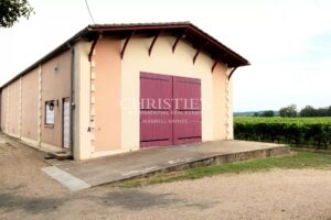 Saint Emilion Grand Cru vineyard Estate for sale