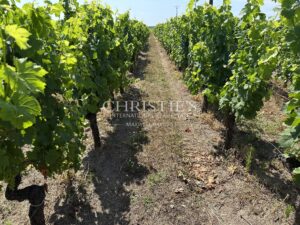 Saint Emilion Grand Cru vineyard Estate for sale