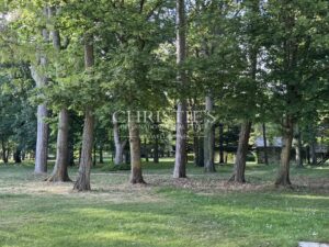 Handsome 1860s manor set in large park with attractive outbuildings