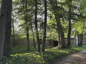 Handsome 1860s manor set in large park with attractive outbuildings