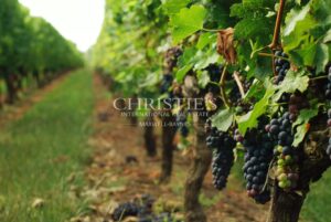 A vineyard estate with character, featuring a historic château and wine tourism activities – Dordogne