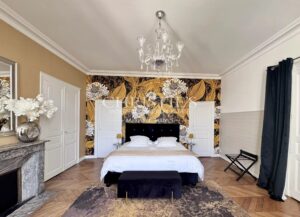 Splendid town mansoin in the heart of Saumur