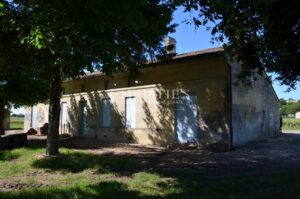 Vineyard estate for sale in the heart of St Emilion appellation