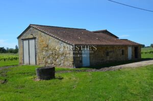 Vineyard estate for sale in the heart of St Emilion appellation