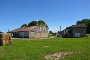 Vineyard estate for sale in the heart of St Emilion appellation