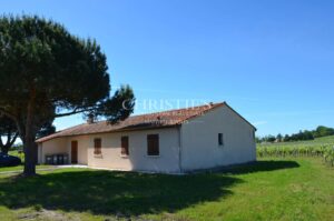 Vineyard estate for sale in the heart of St Emilion appellation
