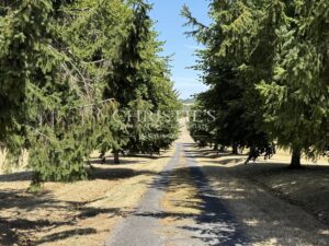 Domaine de caractère avec gîte, piscine chauffée, étang privé et plus de 7 hectares près d’Aubeterre-sur-Dronne