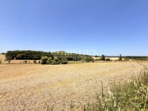 Domaine de caractère avec gîte, piscine chauffée, étang privé et plus de 7 hectares près d’Aubeterre-sur-Dronne