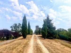 Elégant chateau du XIIIème siécle aux volumes remarquables et sa maison d'amis, vue panoramique, à 5 mn de Lectoure