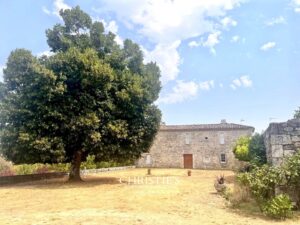 Elégant chateau du XIIIème siécle aux volumes remarquables et sa maison d'amis, vue panoramique, à 5 mn de Lectoure